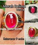 Harga Batu Merah Delima Siam